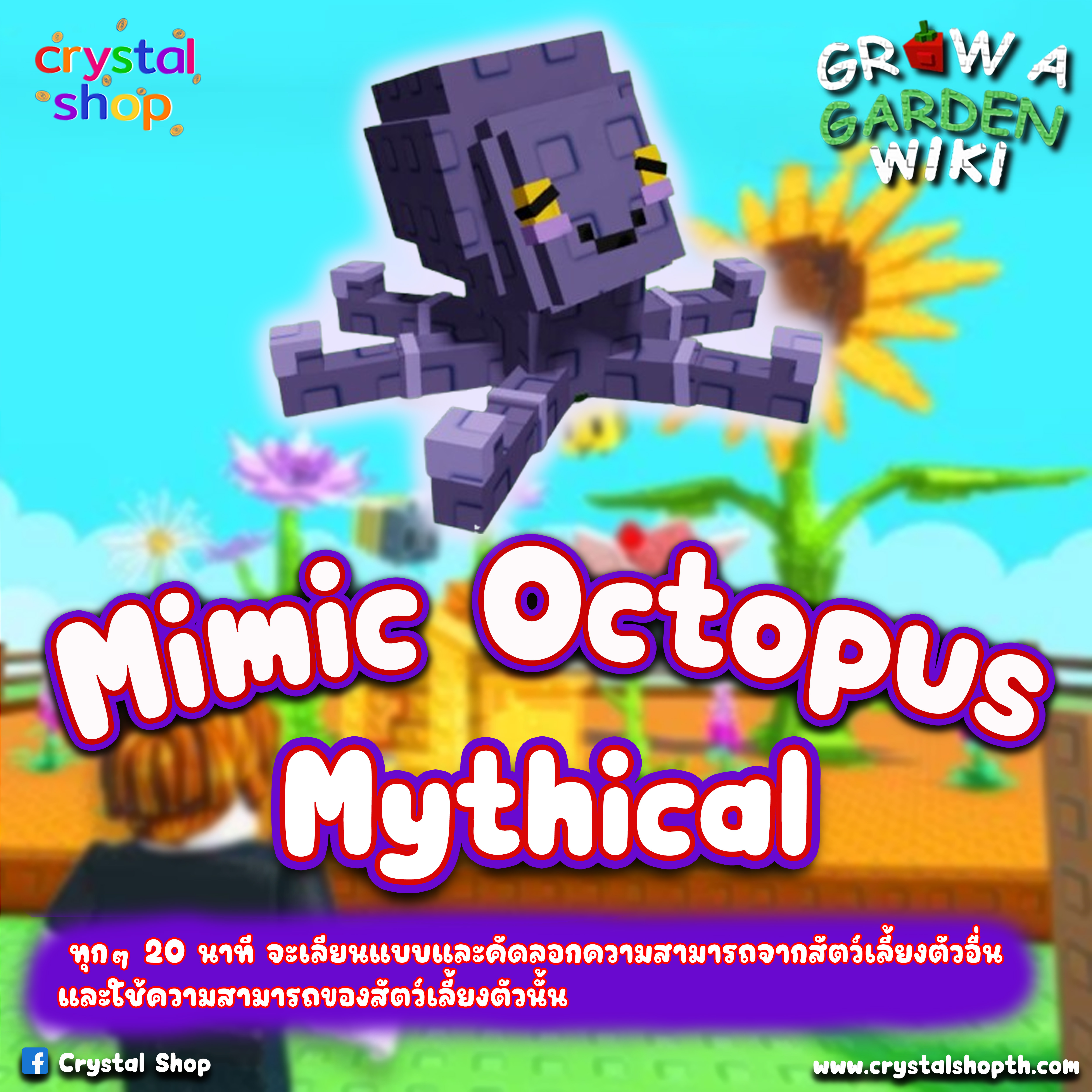 Mimic octopus